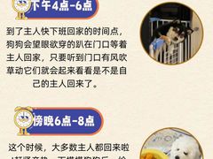 -爱侣宠医·鹦鹉专科·小型哺乳类·异宠专科(灵石路店)