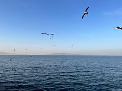 -悦海公园