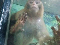 -福州罗源湾海洋世界旅游区