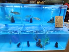 -怡咖啡·自助餐·西安香格里拉