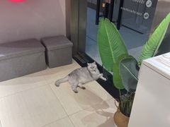 -Oasis绿洲银饰珍珠手作diy(壹方城店)