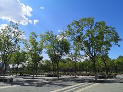 -莲花池公园
