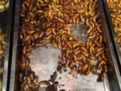 -昆虫窝子·特色云南菜(拓东路总店)