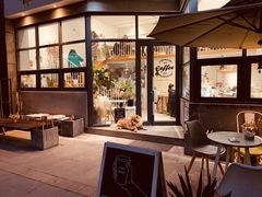 -隹木咖啡馆(宝龙广场店)