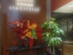 -Cohiba Atmosphere高希霸魅力俱乐部(国贸店)