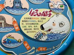 -海合安天津极地海洋公园