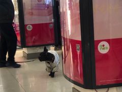 -中国移动(田林路营业厅)