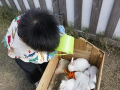 -季高兔窝窝亲子园(上海薰衣草公园店)