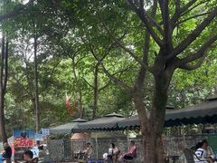 -勇士之星真人CS·团建·拓展(清水河公园店)