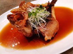 飞天鱼-御宝轩(益丰·外滩源店)