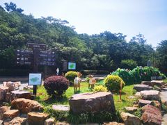 -巢湖姥山岛