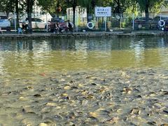 -酷鱼垂钓CLUB(朝阳区博大路店 )