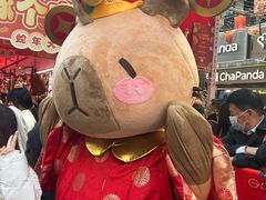 -越秀西湖花市(广州城市广场花卉店)