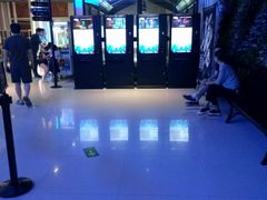-奥斯卡升龙国际影城(RealD Cinema)