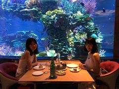 -迪拜帆船酒店海底餐厅