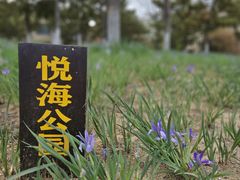 -悦海公园