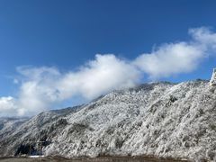 -卧龙中华大熊猫苑神树坪基地