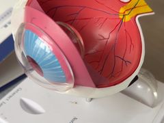 -武汉大学附属爱尔眼科医院(湖北总院)