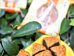 -新雅粤菜馆(南京东路店)