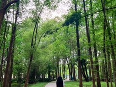 -东湖落雁景区