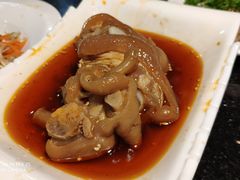 -云中小雅