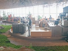 -Seesaw Coffee(朝阳大悦城店)