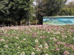 -龙凤山庄影视度假村