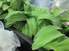 -小海豚•老字号海鲜餐厅(天涯店)