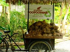 -大象粑粑造纸公园