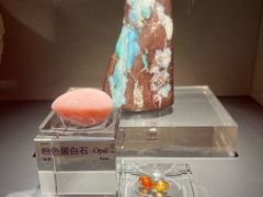 -中国地质博物馆
