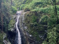-南山植物园
