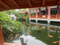 -香麒园·过桥米线·南湖雅宴