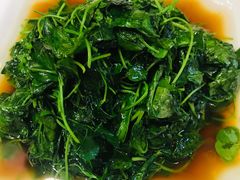 -阿莉餐厅(枣阳路店)