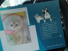 -美联众合动物医院·24h转诊中心