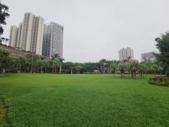 -东风公园