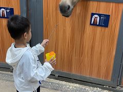 -骑乐马术(广州奥体优托邦中心)