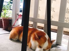 -小梁哥云吞面(黄贝岭店)