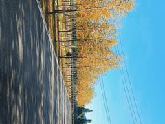 -捞渔河湿地公园