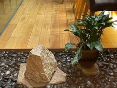-将军日本餐厅·Shogun 传统日料·铁板烧·板前料理(厦门马哥孛罗东方大酒店)