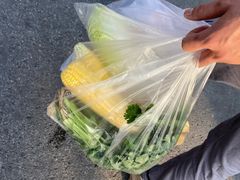 -海吉星市场