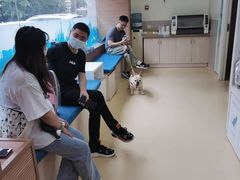-芭比堂动物医院·犬猫全科·异宠专科(雁塔分院)