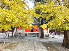 -承恩寺