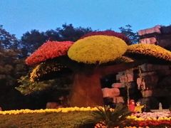 android_upload_pic-迎泽公园