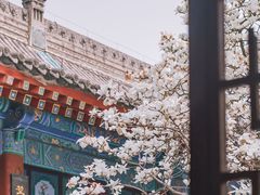 -万寿八仙宫