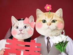 -bobo高端证件照工作室(三元桥店)