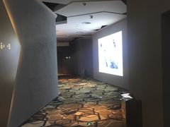 -星河寰宇IMAX影城(星河WORLD·COCO Park店)