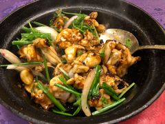啫啫牛蛙煲-惠食佳·朱雀(东方商厦店)