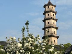 -江心屿景区