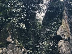 景点-梦幻奥陶纪景区