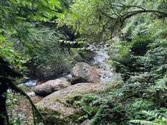 -西岭雪山大飞水景区